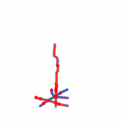 Export Image